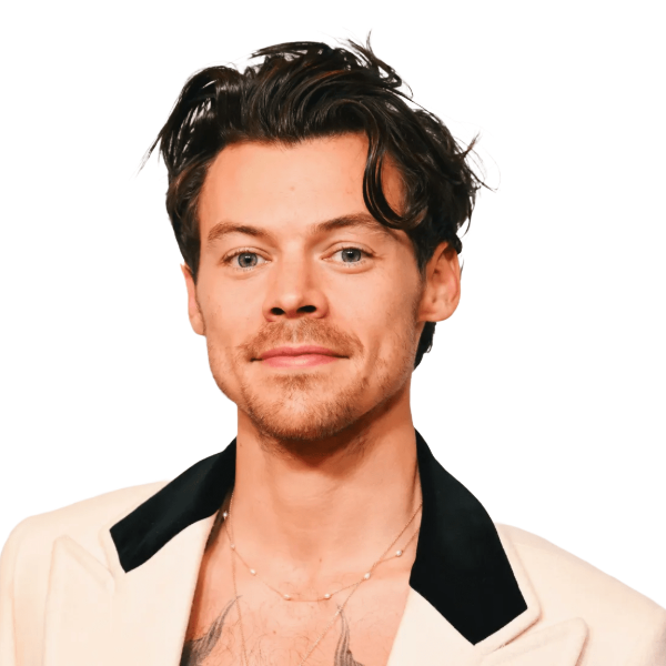 Harry styles main